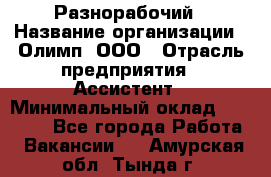 Разнорабочий › Название организации ­ Олимп, ООО › Отрасль предприятия ­ Ассистент › Минимальный оклад ­ 25 000 - Все города Работа » Вакансии   . Амурская обл.,Тында г.